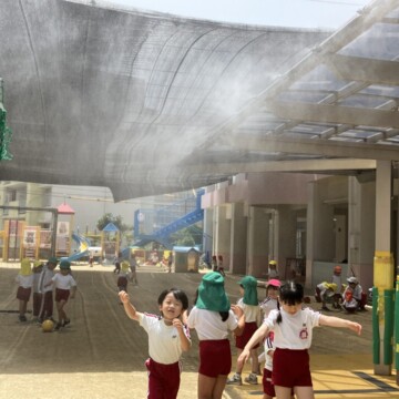 日よけ、はじめました♪