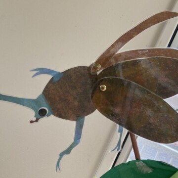 カブトくんのお友達作り💚