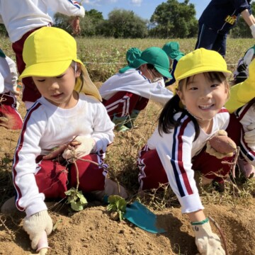 楽しかったね♪ひばり組　芋ほり遠足